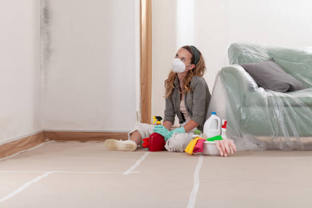 Reliable Mold Remediation contractor in Tacoma, WA by 24 Hour Mold Removal